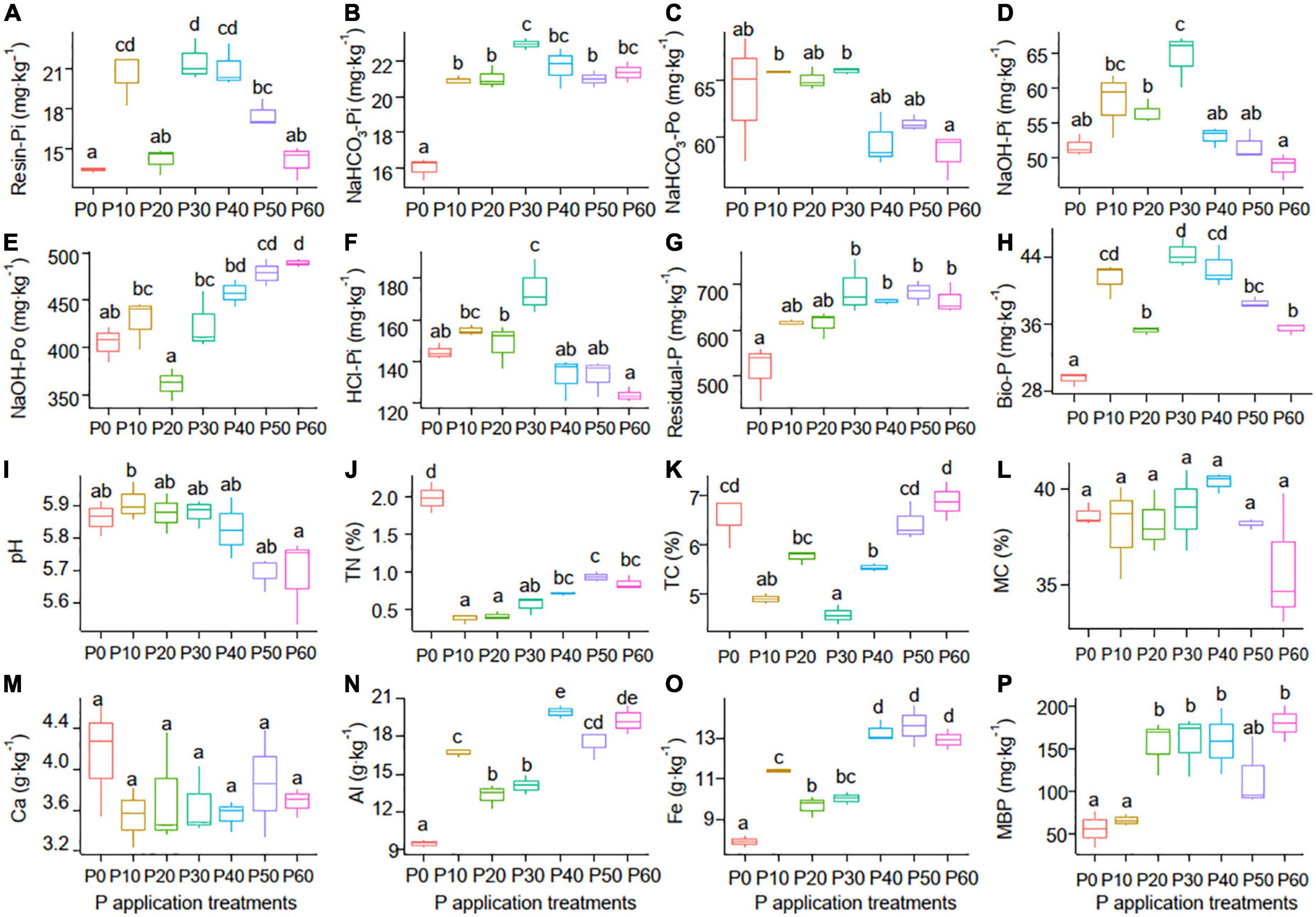 Effects of phosphorus application on soil phosphorus forms and phoD-harboring microbial communities in an alpine grassland on the Qinghai-Tibetan Plateau